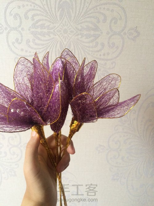 丝。网。花。🌹 第16步