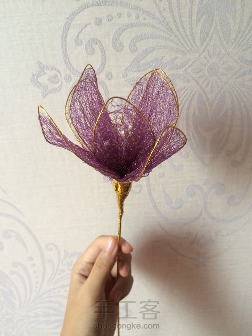 丝。网。花。🌹 第17步