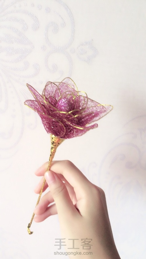 丝。网。花。🌹 第18步