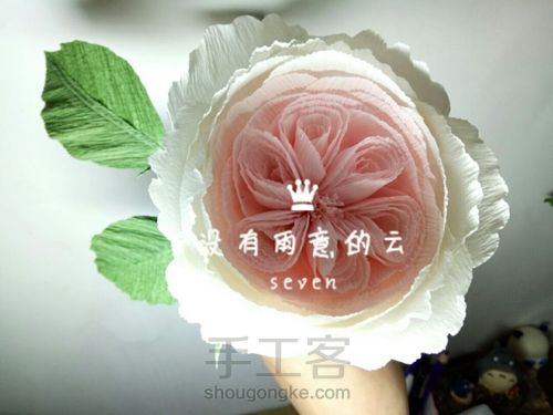 皱纹纸奥斯汀 第1步