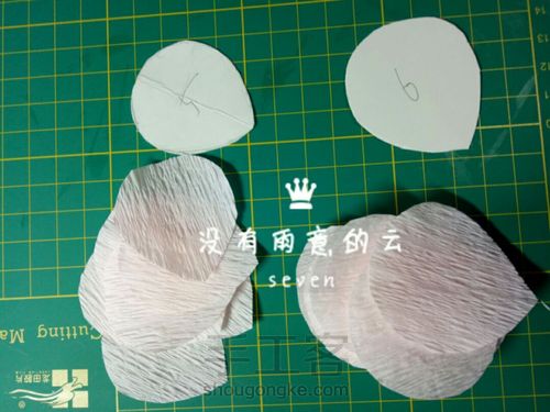 皱纹纸奥斯汀 第10步