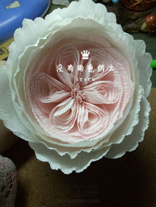 皱纹纸奥斯汀 第12步