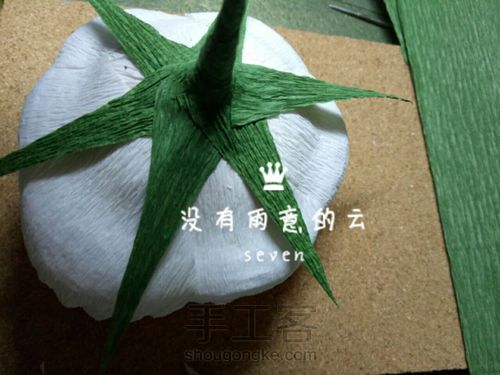 皱纹纸奥斯汀 第14步