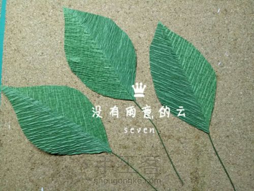 皱纹纸奥斯汀 第18步