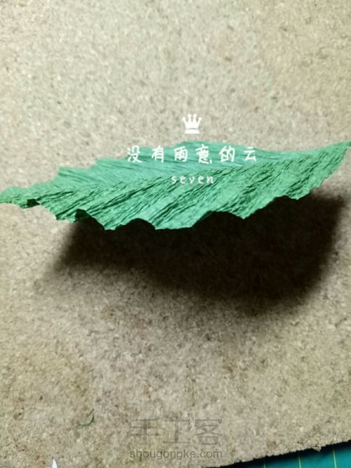 皱纹纸奥斯汀 第20步