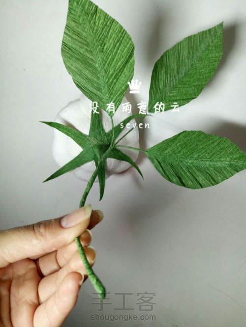 皱纹纸奥斯汀 第21步