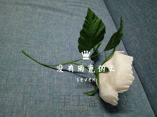 皱纹纸奥斯汀 第22步