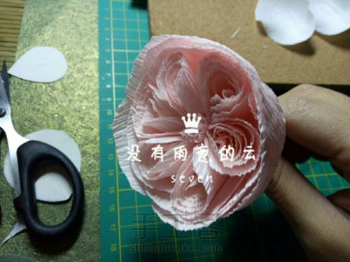 皱纹纸奥斯汀 第9步