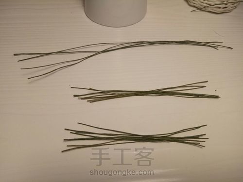 皱纸铁线莲 第18步