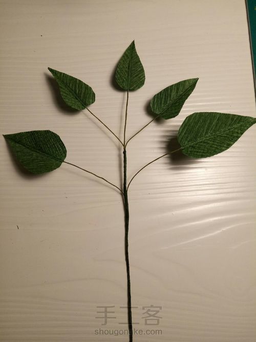 皱纸铁线莲 第26步