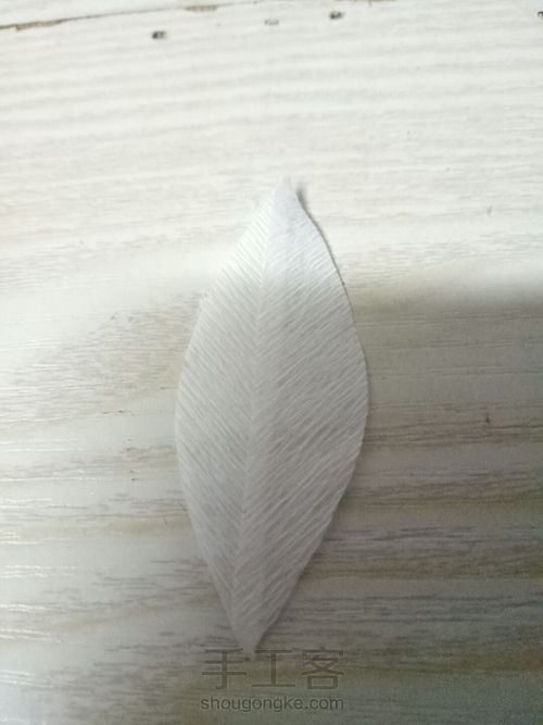 皱纸铁线莲 第6步