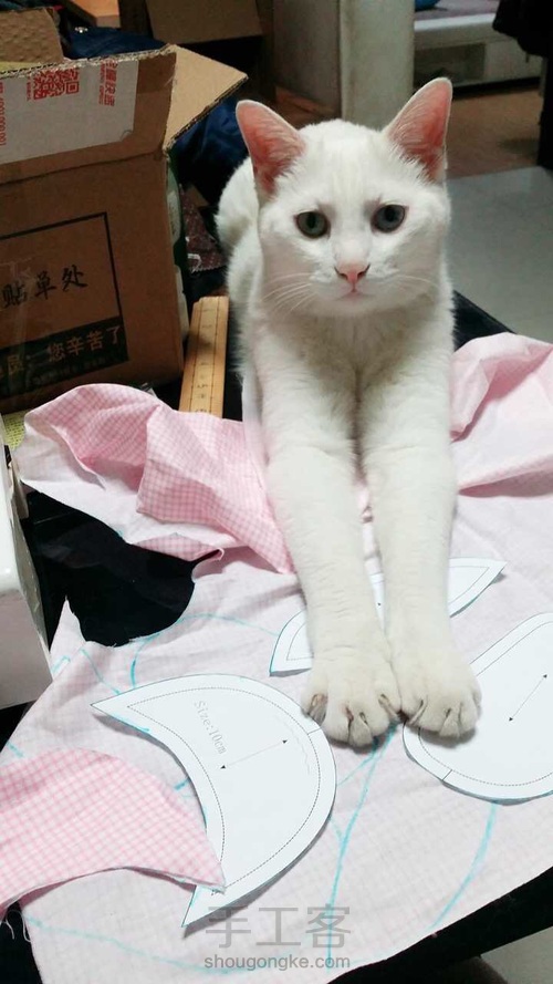 婴儿宝宝鞋 第1步