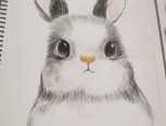超级可爱的胖兔兔