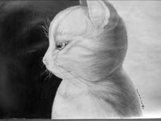 黑与白终于画完了 黑与白终于画完了
