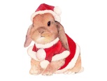 圣诞过后又是新年~希望小兔子发给你温暖和美好！