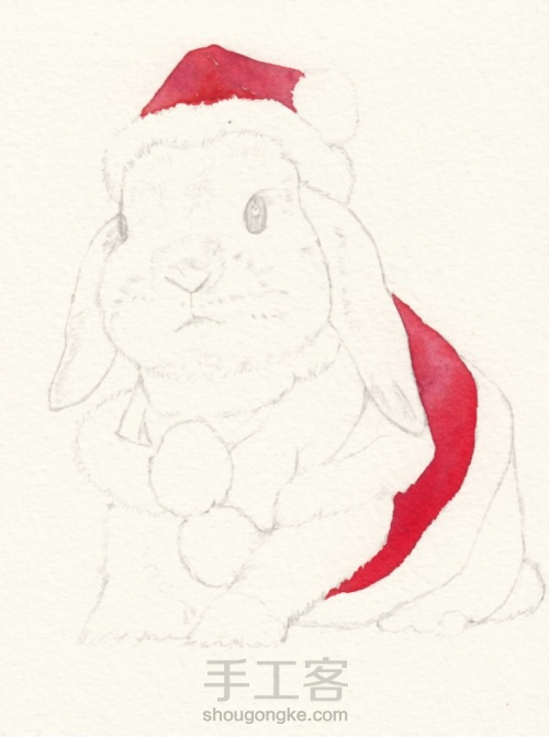 水彩  圣诞小兔 第2步