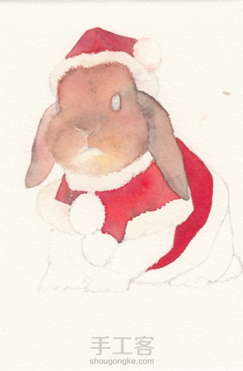 水彩  圣诞小兔 第4步