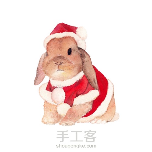水彩  圣诞小兔 第6步