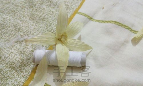 玉米叶子变成花 第9步