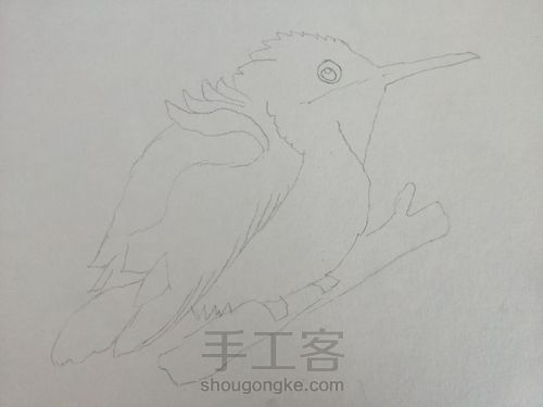 禅绕鸟 第1步