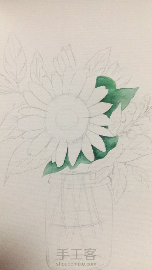 阳光向日葵 第2步