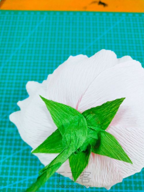 皱纹纸牡丹花 第12步
