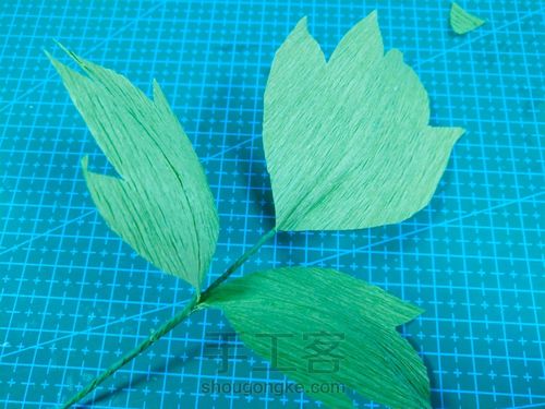 皱纹纸牡丹花 第13步