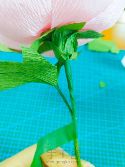 皱纹纸牡丹花 第14步