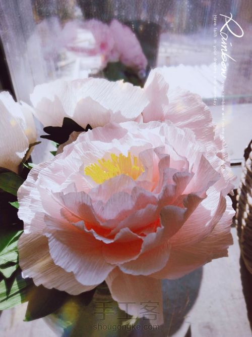 皱纹纸牡丹花 第15步