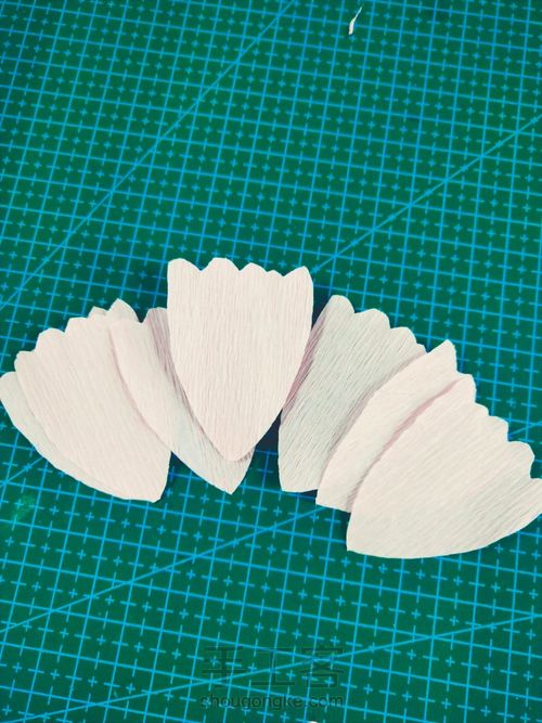 皱纹纸牡丹花 第6步