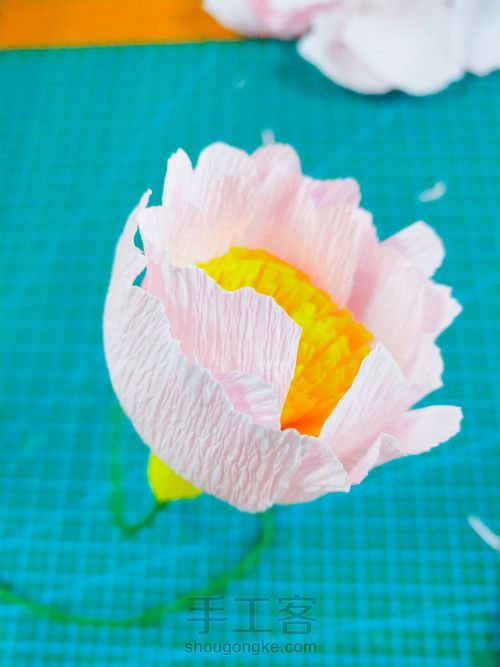 皱纹纸牡丹花 第9步