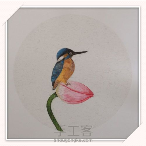翠鸟荷花图 第9步