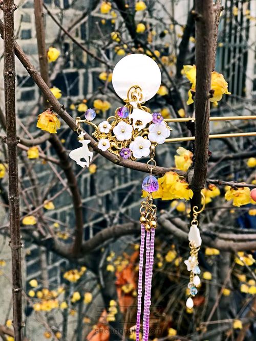 【三笑。】双直—寻鹿 第6步