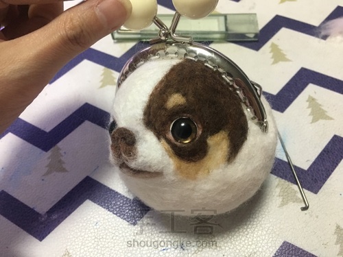 汪星人口金包之吉娃娃 第9步