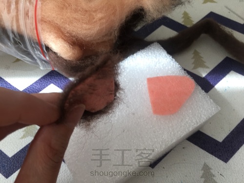 汪星人口金包之吉娃娃 第11步