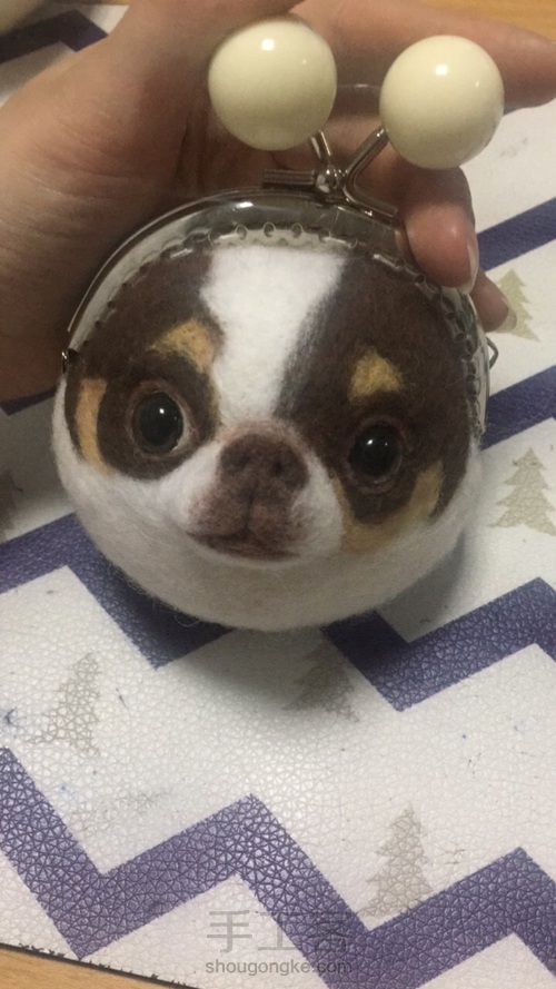 汪星人口金包之吉娃娃 第10步