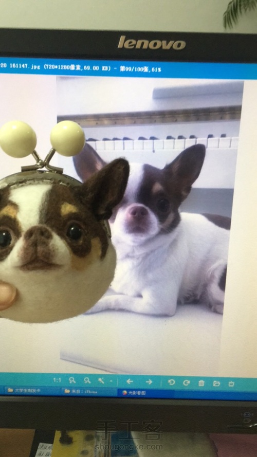 汪星人口金包之吉娃娃 第13步