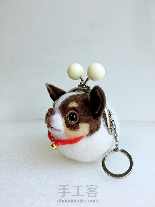 汪星人口金包之吉娃娃 第18步