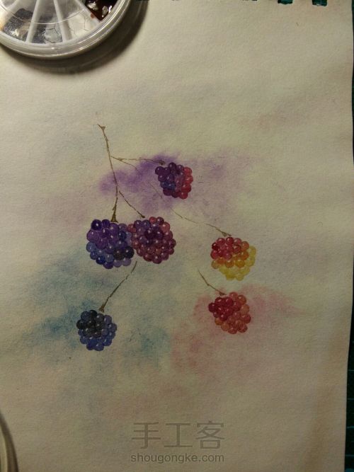 水彩树莓 第2步
