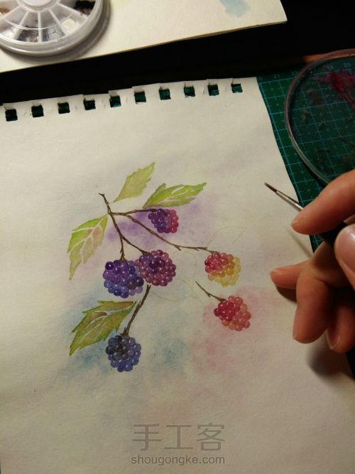 水彩树莓 第3步