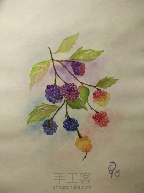 水彩树莓 第5步