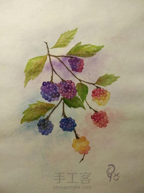 水彩树莓 第6步