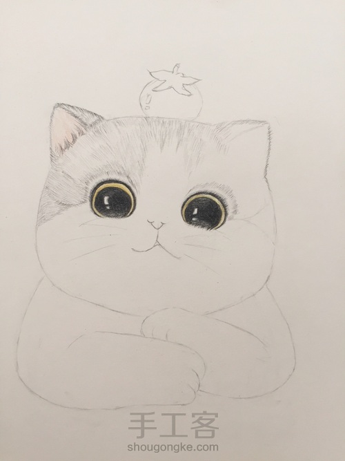 一只蠢萌猫（彩铅 手绘 临摹） 第2步