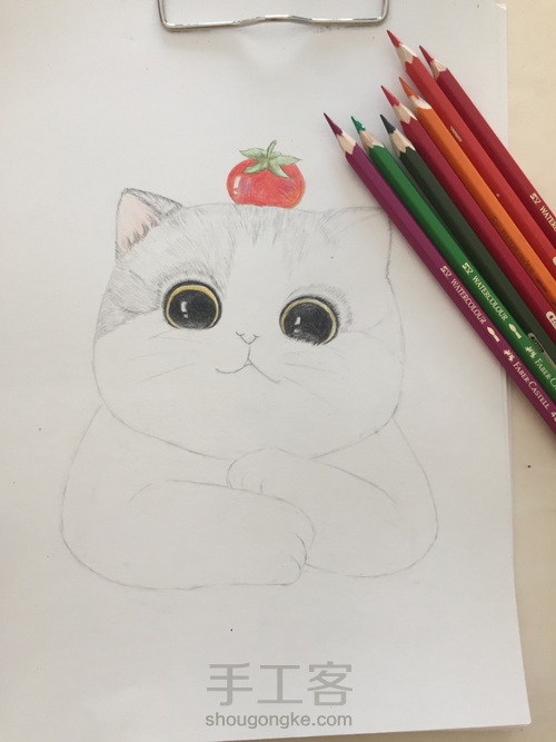 一只蠢萌猫(彩铅 手绘 临摹) 第3步