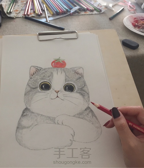 一只蠢萌猫(彩铅 手绘 临摹) 第4步