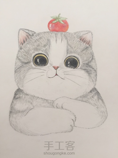 一只蠢萌猫(彩铅 手绘 临摹) 第5步
