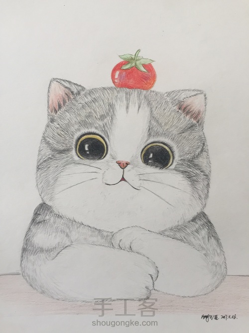 一只蠢萌猫(彩铅 手绘 临摹) 第6步