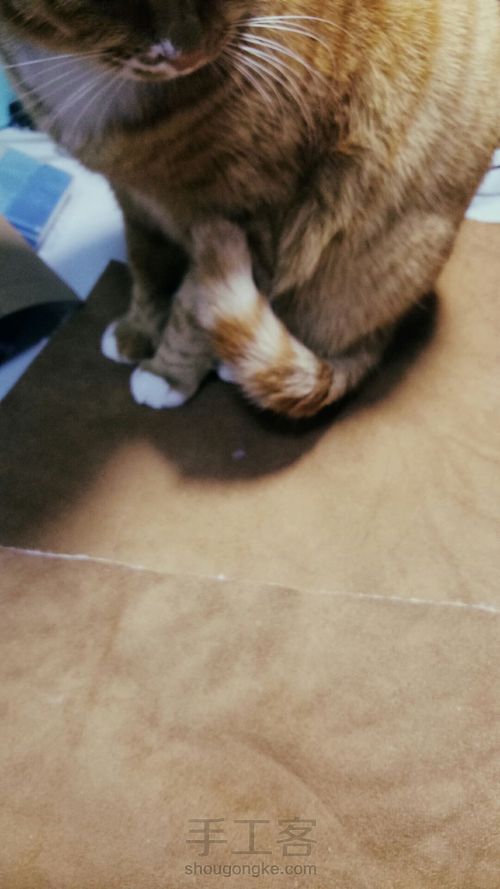 【nyx手作】童装 卡其色皮毛一体外套 画版+制作 超详细 第8步