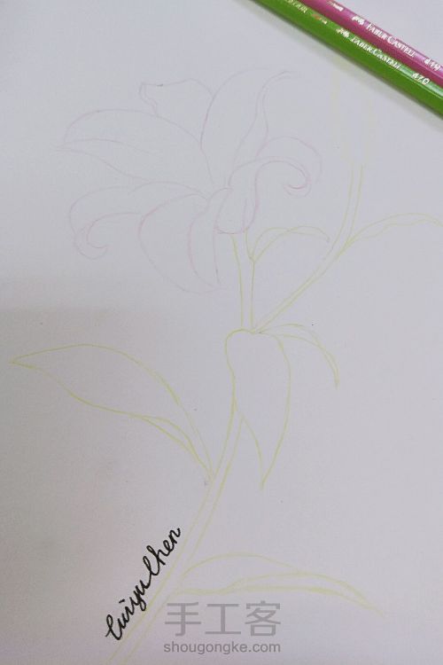 简单大气手绘彩铅香水百合Lily~ 第3步
