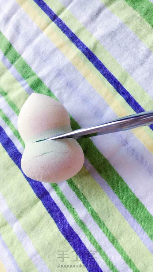 🌱粉扑育苗 第3步